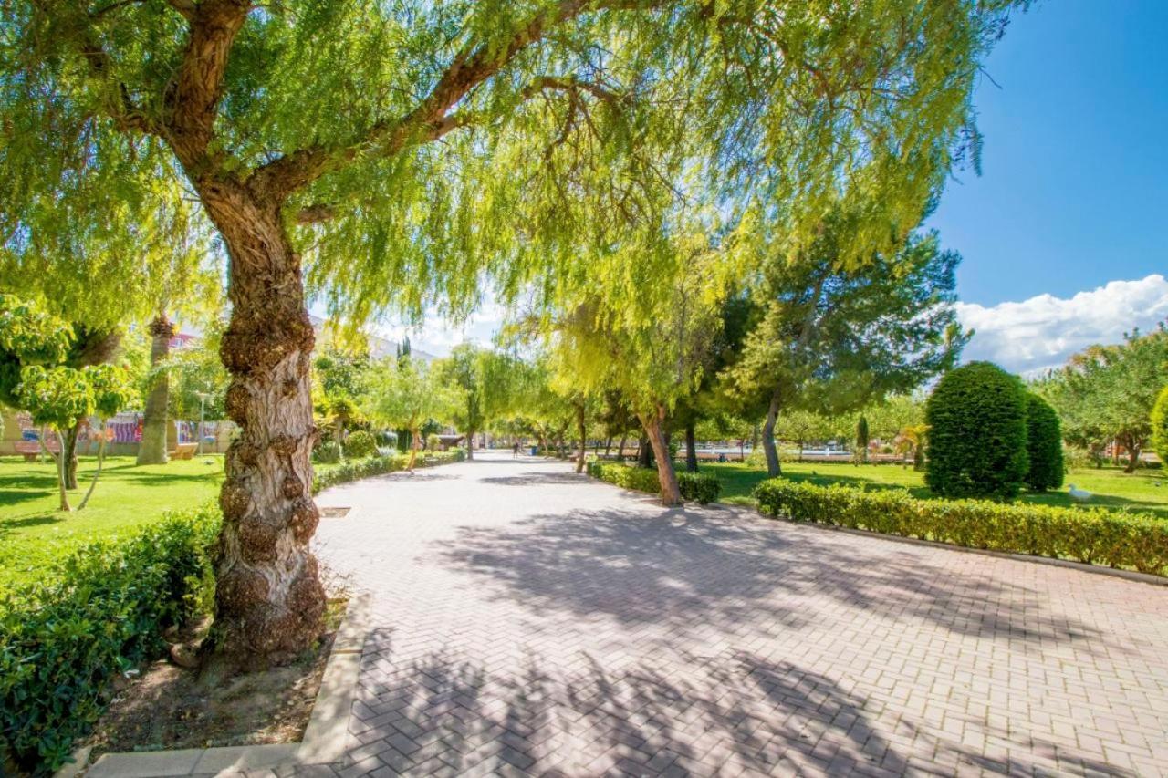 Apartamentos Villa Madrid Torrevieja Kültér fotó